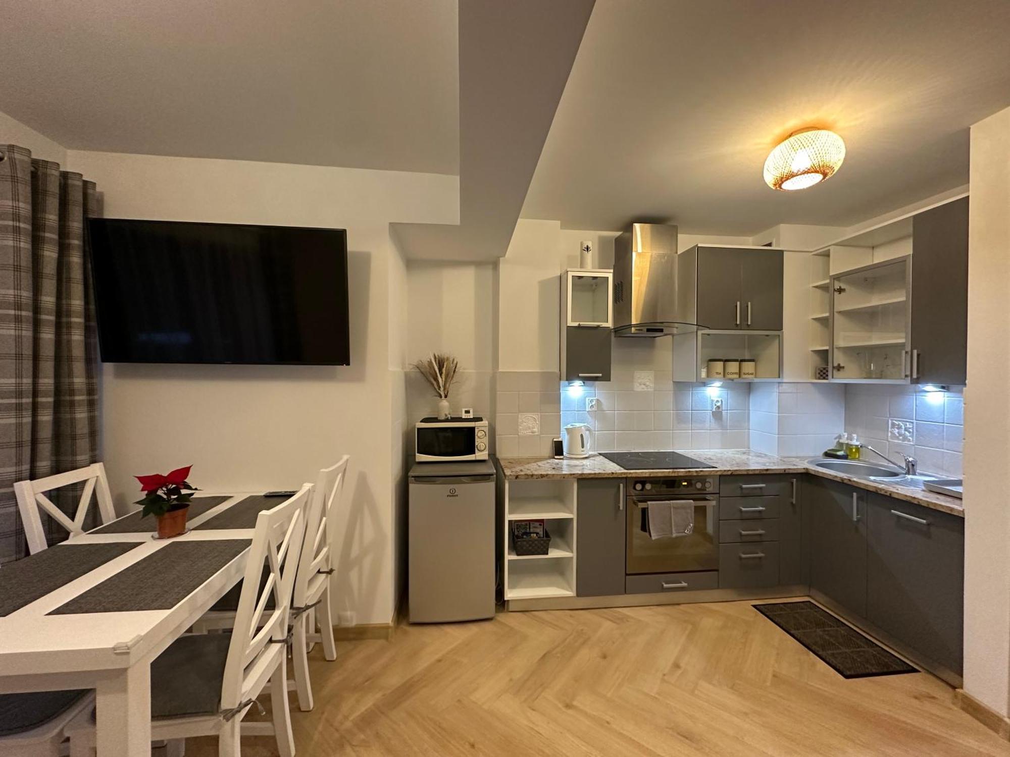 Apartament Skandynawska Prostota Z Basenem I Sauna Kościelisko Extérieur photo